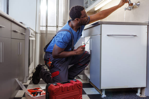 Best Sewer Line Repair  in Riverton, IL